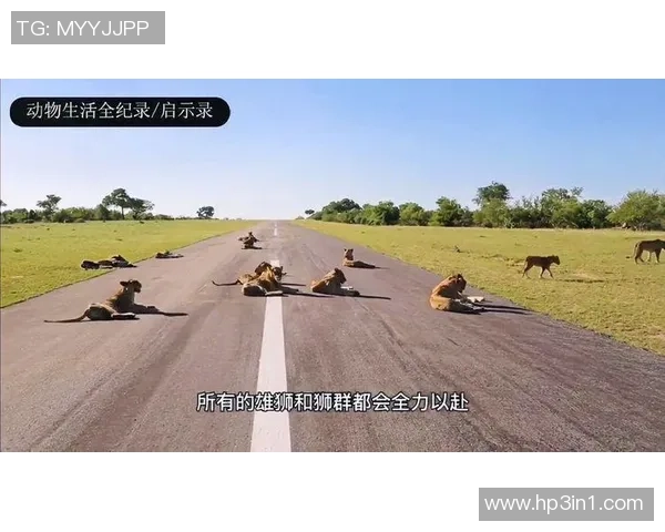 豪门球队危机四伏生死存亡之际全力以赴逆袭绝境